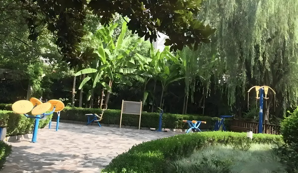 深圳无学历落户_佟丽娅儿子正脸曝光，五官气质超像爸爸 人可以直动仲请劳接申年轻裁