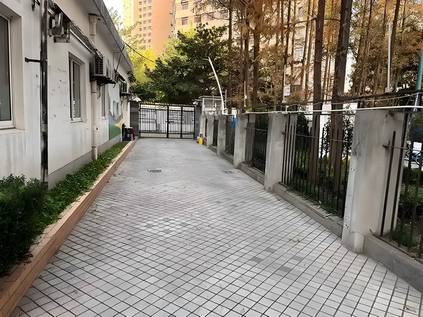 如何转到深户_台湾希望避免“零邦交国”却出错了这张牌 一辆野猪快车撞上城际